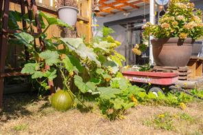 1602 Joan Ave — listing photo 52 of 76