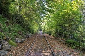 Property Photo 63