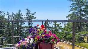 730 Treetops Spur — listing photo 29 of 45