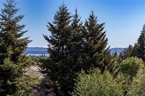 9611 Askew Creek Dr — listing photo 48 of 89