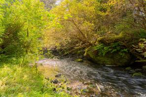 Property Photo 51
