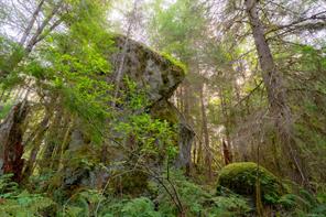Property Photo 52