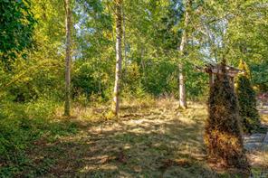 821 Park Ave — listing photo 49 of 63