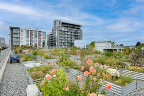 N414-1105 Pandora Ave — listing photo 40 of 53