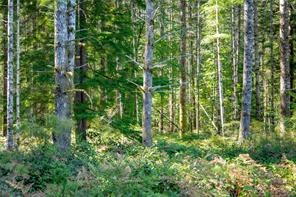 9498 Doyle Rd — listing photo 44 of 92