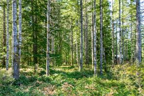 9498 Doyle Rd — listing photo 89 of 92