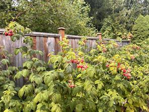 4290 Eastridge Cres — listing photo 45 of 61