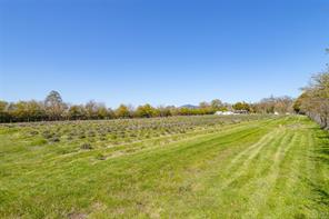 1899 John Rd — listing photo 31 of 71