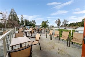 Thumbnail 16
