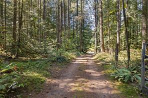 3175 Plumtree Rd — listing photo 29 of 35