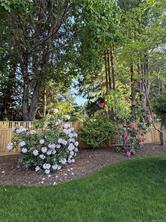 164 Crescent Rd — listing photo 67 of 67