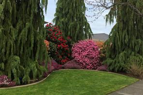 211 Saturna Dr — listing photo 57 of 60