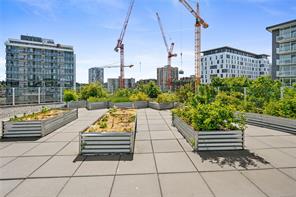 S310-1411 Cook St — listing photo 48 of 71