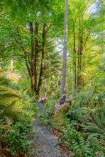 Property Photo 61