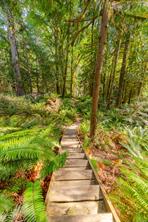Property Photo 62