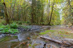 Property Photo 64