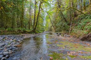 Property Photo 65