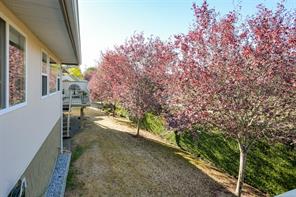 16-920 Brulette Pl — listing photo 27 of 65