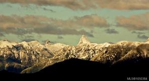 Property Photo 50