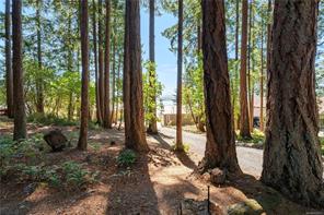 3838 Fearn Way — listing photo 60 of 69