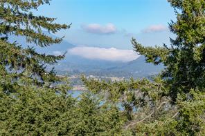 6033 Chippewa Rd — listing photo 43 of 50