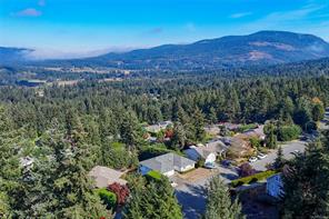 6033 Chippewa Rd — listing photo 49 of 50