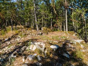 370 Baker Rd — listing photo 46 of 52