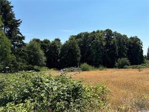 6275 Old East Rd — listing photo 19 of 28