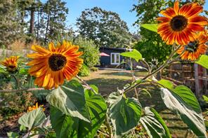4826 West Saanich Rd — listing photo 34 of 41