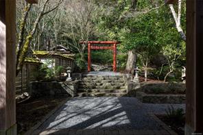 250 Holmes Rd — listing photo 58 of 63