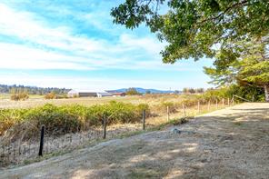 6390 Welch Rd — listing photo 38 of 62