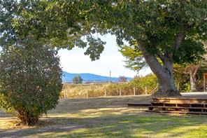 6390 Welch Rd — listing photo 39 of 62