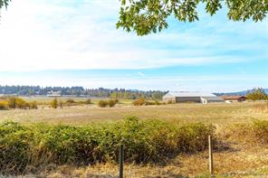 6390 Welch Rd — listing photo 40 of 62