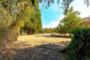 6390 Welch Rd — listing photo 57 of 62