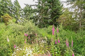 5000 Sooke Hanger Dr — listing photo 73 of 83