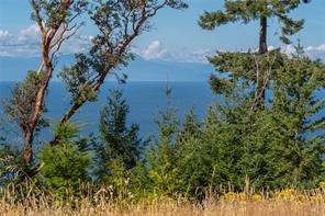 573 Horseshoe Rd — listing photo 40 of 54