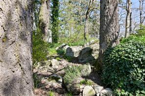 967 Ridgeway St — listing photo 37 of 39