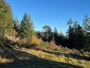 8030 Trans Canada Hwy — listing photo 18 of 41