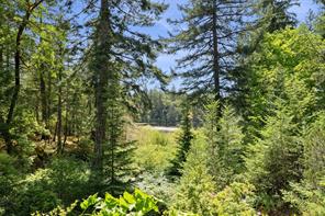 649 Lost Lake Rd — listing photo 28 of 50
