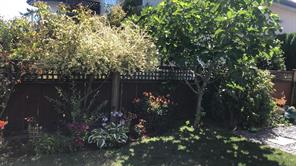 6160 Dover Rd — listing photo 85 of 87