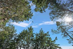 377 Evergreen Lane — listing photo 17 of 54