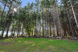 377 Evergreen Lane — listing photo 19 of 54