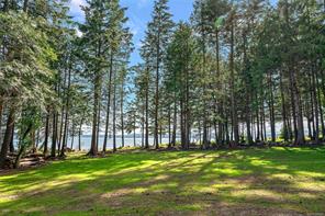 377 Evergreen Lane — listing photo 47 of 54