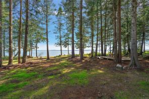 377 Evergreen Lane — listing photo 49 of 54