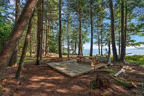 377 Evergreen Lane — listing photo 50 of 54