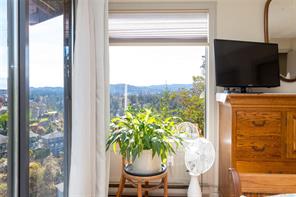 504 Langvista Dr — listing photo 30 of 78