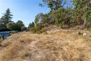 504 Langvista Dr — listing photo 67 of 78
