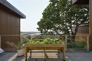 802 Rainbow Ridge Lane — listing photo 37 of 68