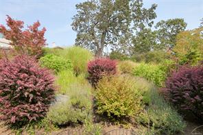802 Rainbow Ridge Lane — listing photo 43 of 68