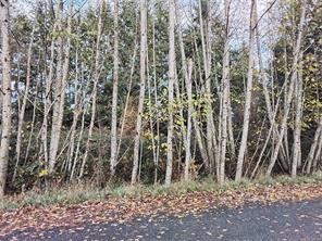 Lot E Tatton Rd, Courtenay